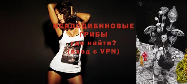 хмурый Алексеевка