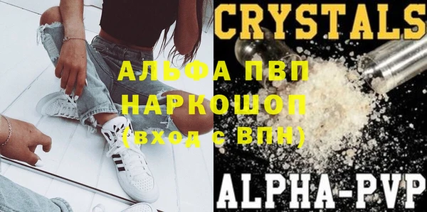винт Алзамай